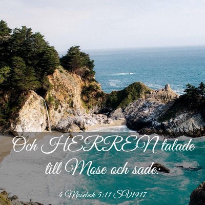 Picture 03 - 4 Mosebok 5:11 SV1917 - Och HERREN talade till Mose och - Bible Verse Picture