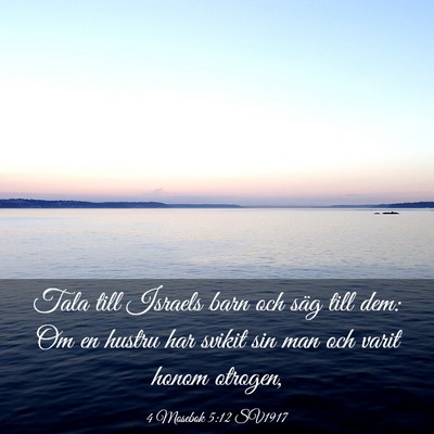 Picture 03 - 4 Mosebok 5:12 SV1917 - Tala till Israels barn och säg till dem: Om en - Bible Verse Picture