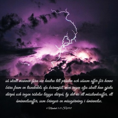 Picture 03 - 4 Mosebok 5:15 SV1917 - så skall mannen föra sin hustru till prästen - Bible Verse Picture