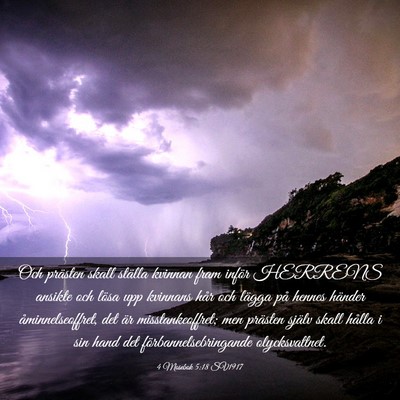 Picture 03 - 4 Mosebok 5:18 SV1917 - Och prästen skall ställa kvinnan fram inför - Bible Verse Picture