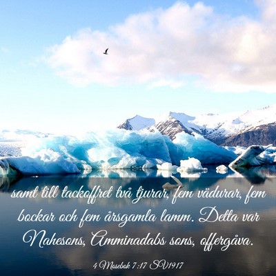 Picture 03 - 4 Mosebok 7:17 SV1917 - samt till tackoffret två tjurar, fem vädurar, - Bible Verse Picture