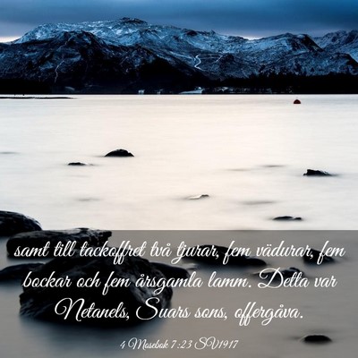 Picture 03 - 4 Mosebok 7:23 SV1917 - samt till tackoffret två tjurar, fem vädurar, - Bible Verse Picture