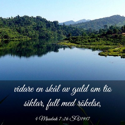 Picture 03 - 4 Mosebok 7:26 SV1917 - vidare en skål av guld om tio siklar, full med - Bible Verse Picture