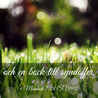 Picture 03 - 4 Mosebok 7:28 SV1917 - och en bock till - Bible Verse Picture