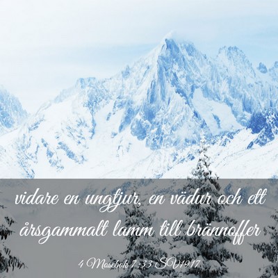 Picture 03 - 4 Mosebok 7:33 SV1917 - vidare en ungtjur, en vädur och ett årsgammalt - Bible Verse Picture
