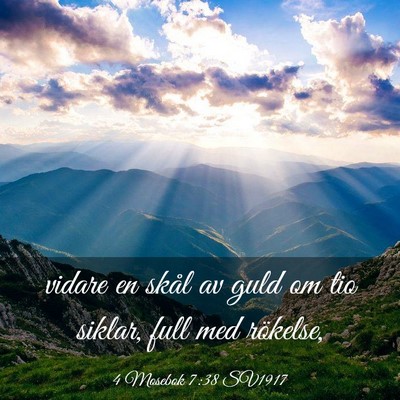 Picture 03 - 4 Mosebok 7:38 SV1917 - vidare en skål av guld om tio siklar, full med - Bible Verse Picture