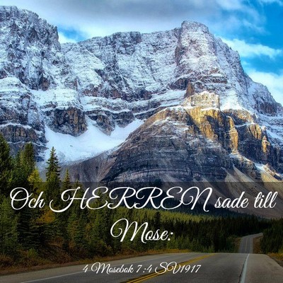 Picture 03 - 4 Mosebok 7:4 SV1917 - Och HERREN sade till - Bible Verse Picture