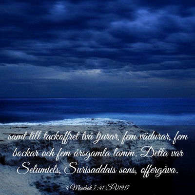 Picture 03 - 4 Mosebok 7:41 SV1917 - samt till tackoffret två tjurar, fem vädurar, - Bible Verse Picture