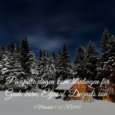 Picture 03 - 4 Mosebok 7:42 SV1917 - På sjätte dagen kom hövdingen för Gads barn, - Bible Verse Picture