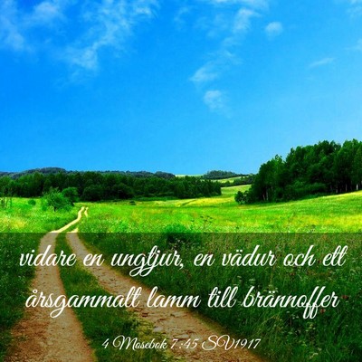 Picture 03 - 4 Mosebok 7:45 SV1917 - vidare en ungtjur, en vädur och ett årsgammalt - Bible Verse Picture