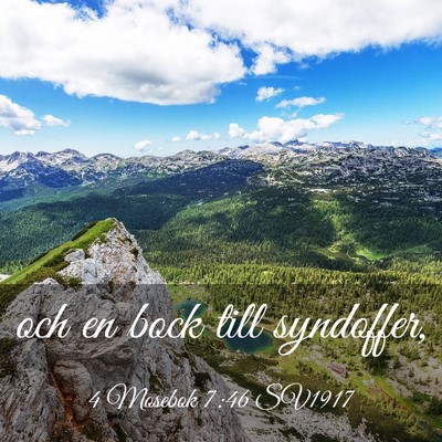 Picture 03 - 4 Mosebok 7:46 SV1917 - och en bock till - Bible Verse Picture