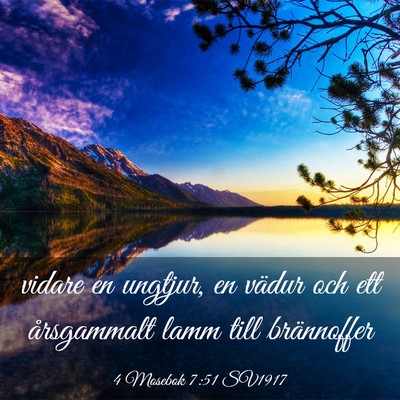 Picture 03 - 4 Mosebok 7:51 SV1917 - vidare en ungtjur, en vädur och ett årsgammalt - Bible Verse Picture