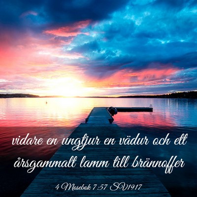 Picture 03 - 4 Mosebok 7:57 SV1917 - vidare en ungtjur en vädur och ett årsgammalt - Bible Verse Picture