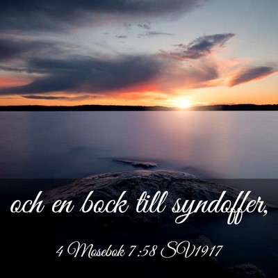 Picture 03 - 4 Mosebok 7:58 SV1917 - och en bock till - Bible Verse Picture