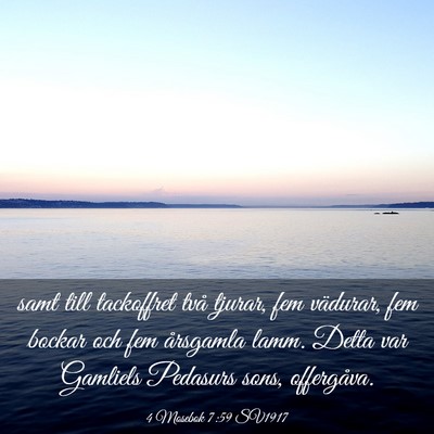 Picture 03 - 4 Mosebok 7:59 SV1917 - samt till tackoffret två tjurar, fem vädurar, - Bible Verse Picture