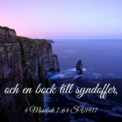 Picture 03 - 4 Mosebok 7:64 SV1917 - och en bock till - Bible Verse Picture