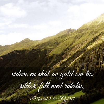 Picture 03 - 4 Mosebok 7:68 SV1917 - vidare en skål av guld om tio siklar, full med - Bible Verse Picture