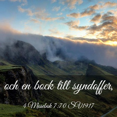 Picture 03 - 4 Mosebok 7:70 SV1917 - och en bock till - Bible Verse Picture