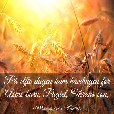 Picture 03 - 4 Mosebok 7:72 SV1917 - På elfte dagen kom hövdingen för Asers barn, - Bible Verse Picture