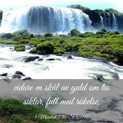 Picture 03 - 4 Mosebok 7:80 SV1917 - vidare en skål av guld om tio siklar, full med - Bible Verse Picture