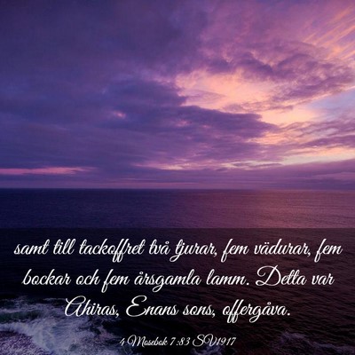 Picture 03 - 4 Mosebok 7:83 SV1917 - samt till tackoffret två tjurar, fem vädurar, - Bible Verse Picture