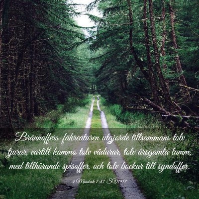 Picture 03 - 4 Mosebok 7:87 SV1917 - Brännoffers-fäkreaturen utgjorde tillsammans - Bible Verse Picture