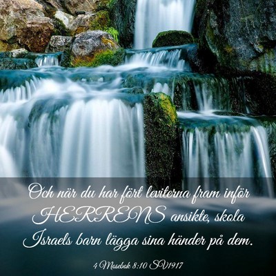 Picture 03 - 4 Mosebok 8:10 SV1917 - Och när du har fört leviterna fram inför - Bible Verse Picture