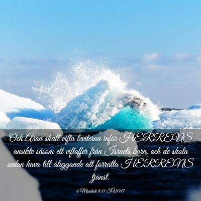 Picture 03 - 4 Mosebok 8:11 SV1917 - Och Aron skall vifta leviterna inför HERRENS - Bible Verse Picture