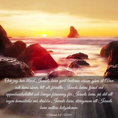 Picture 03 - 4 Mosebok 8:19 SV1917 - Och jag har bland Israels barn givit leviterna - Bible Verse Picture