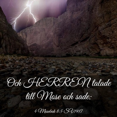 Picture 03 - 4 Mosebok 8:5 SV1917 - Och HERREN talade till Mose och - Bible Verse Picture