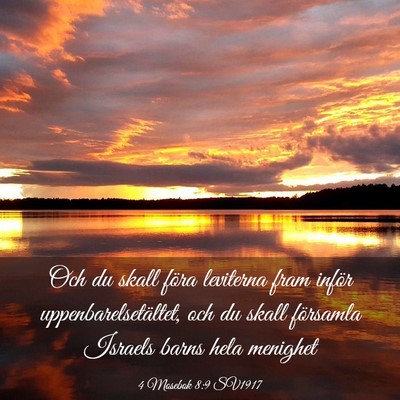 Picture 03 - 4 Mosebok 8:9 SV1917 - Och du skall föra leviterna fram inför - Bible Verse Picture