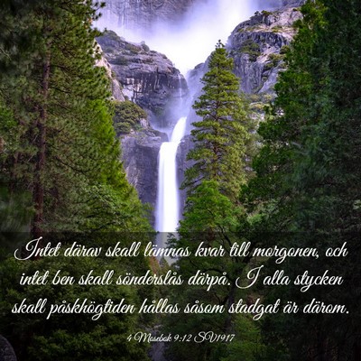 Picture 03 - 4 Mosebok 9:12 SV1917 - Intet därav skall lämnas kvar till morgonen, - Bible Verse Picture