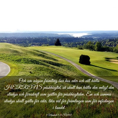 Picture 03 - 4 Mosebok 9:14 SV1917 - Och om någon främling bor hos eder och vill - Bible Verse Picture