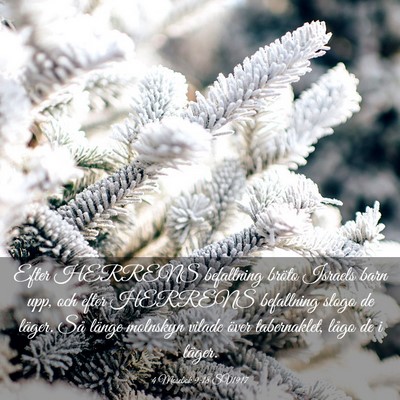 Picture 03 - 4 Mosebok 9:18 SV1917 - Efter HERRENS befallning bröto Israels barn upp, - Bible Verse Picture