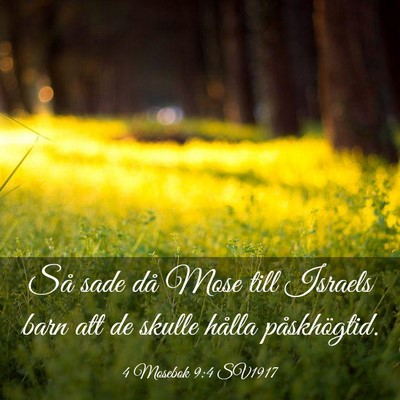 Picture 03 - 4 Mosebok 9:4 SV1917 - Så sade då Mose till Israels barn att de skulle - Bible Verse Picture