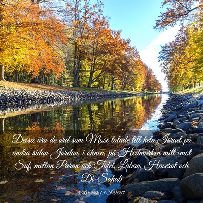 Picture 03 - 5 Mosebok 1:1 SV1917 - Dessa äro de ord som Mose talade till hela - Bible Verse Picture