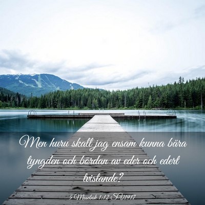 Picture 03 - 5 Mosebok 1:12 SV1917 - Men huru skall jag ensam kunna bära tyngden och - Bible Verse Picture