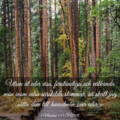 Picture 03 - 5 Mosebok 1:13 SV1917 - Utsen åt eder visa, förståndiga och välkända - Bible Verse Picture