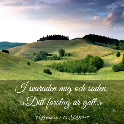 Picture 03 - 5 Mosebok 1:14 SV1917 - I svaraden mig och saden: »Ditt förslag är - Bible Verse Picture