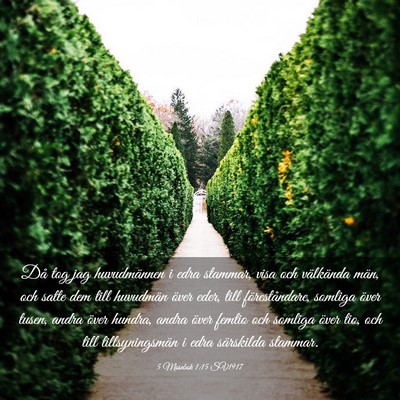 Picture 03 - 5 Mosebok 1:15 SV1917 - Då tog jag huvudmännen i edra stammar, visa och - Bible Verse Picture