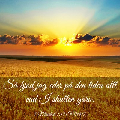 Picture 03 - 5 Mosebok 1:18 SV1917 - Så bjöd jag eder på den tiden allt vad I - Bible Verse Picture