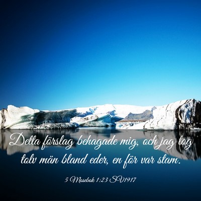 Picture 03 - 5 Mosebok 1:23 SV1917 - Detta förslag behagade mig, och jag tog tolv - Bible Verse Picture