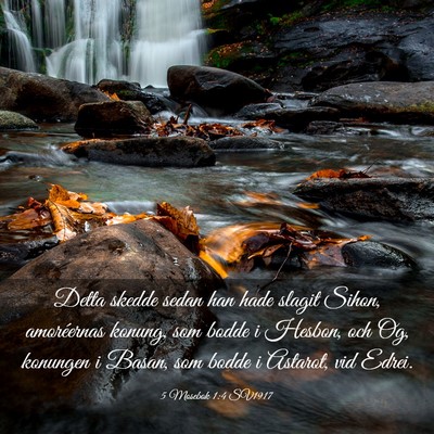 Picture 03 - 5 Mosebok 1:4 SV1917 - Detta skedde sedan han hade slagit Sihon, - Bible Verse Picture