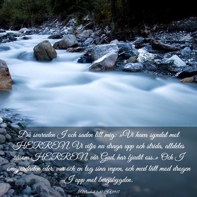 Picture 03 - 5 Mosebok 1:41 SV1917 - Då svaraden I och saden till mig: »Vi hava - Bible Verse Picture