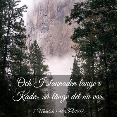 Picture 03 - 5 Mosebok 1:46 SV1917 - Och I stannaden länge i Kades, så länge det nu - Bible Verse Picture