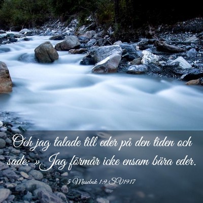 Picture 03 - 5 Mosebok 1:9 SV1917 - Och jag talade till eder på den tiden och sade: - Bible Verse Picture