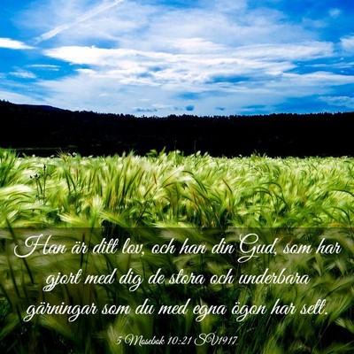 Picture 03 - 5 Mosebok 10:21 SV1917 - Han är ditt lov, och han din Gud, som har gjort - Bible Verse Picture