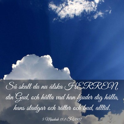 Picture 03 - 5 Mosebok 11:1 SV1917 - Så skall du nu älska HERREN, din Gud, och - Bible Verse Picture