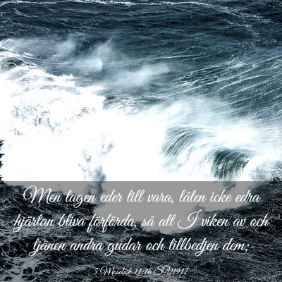 Picture 03 - 5 Mosebok 11:16 SV1917 - Men tagen eder till vara, låten icke edra - Bible Verse Picture