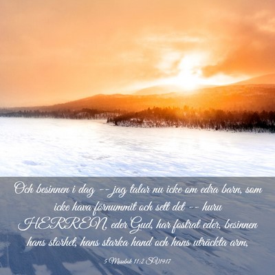 Picture 03 - 5 Mosebok 11:2 SV1917 - Och besinnen i dag -- jag talar nu icke om edra - Bible Verse Picture